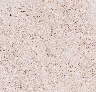 props.instance.title_nl_NL